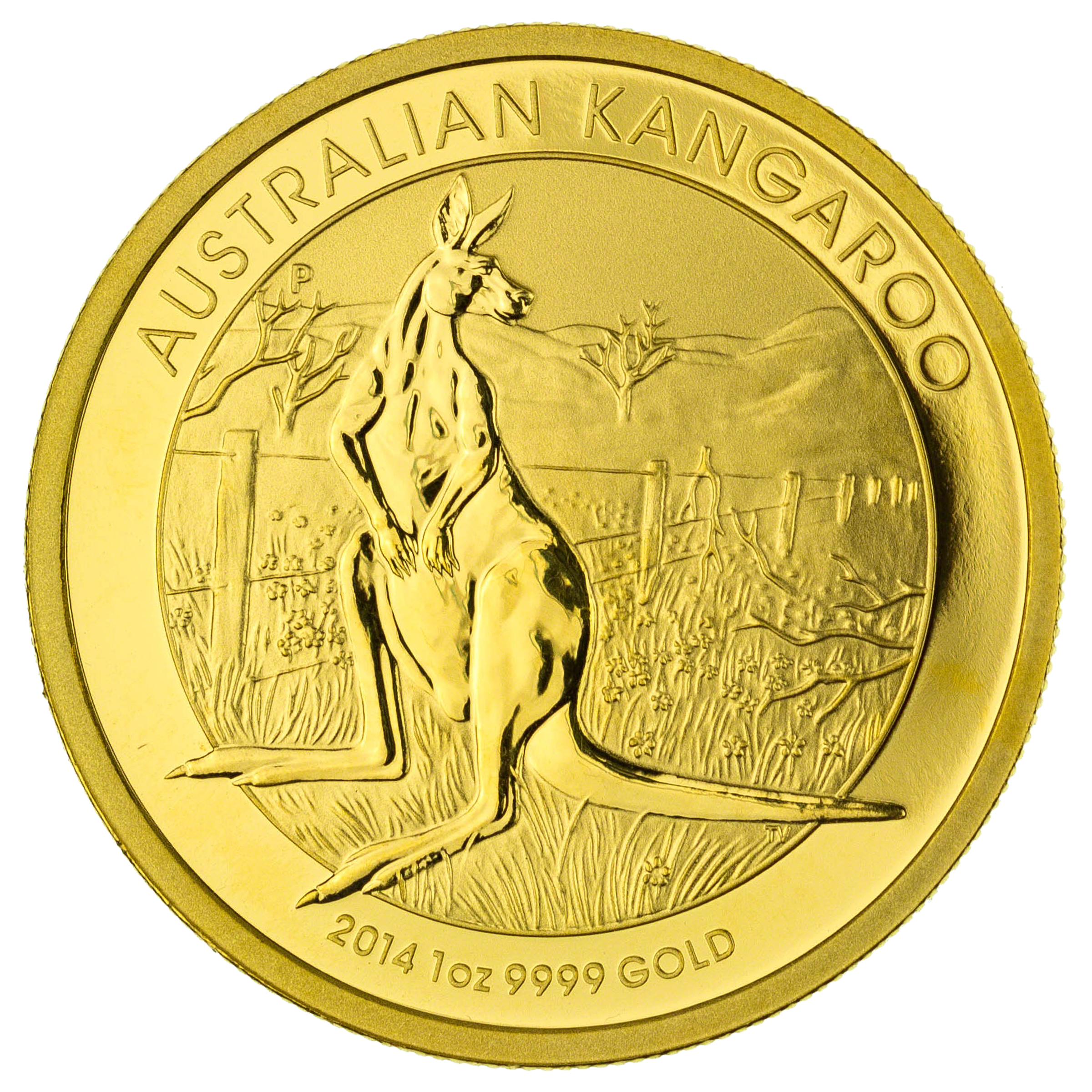 Australian Gold Kangaroo Nugget 2014 - 1 oz